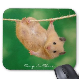 Hang in There Hamster Mouse Pads