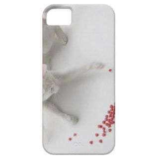Cat playing with heart shaped candy iPhone 5 case
