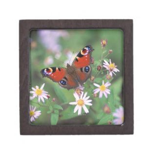 Flower and Butterfly Premium Keepsake Boxes