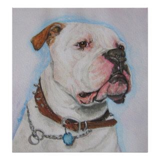 American Bulldog Poster