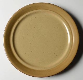 Mikasa Sandstone Dinner Plate, Fine China Dinnerware   Village Potter Line,Brown