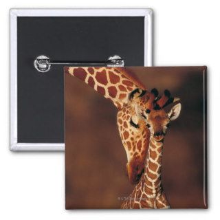 Adult Giraffe with calf (Giraffa camelopardalis) Pinback Buttons
