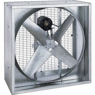 Triangle Fans Belt Drive Poultry Fan   48 Inch, 1 HP