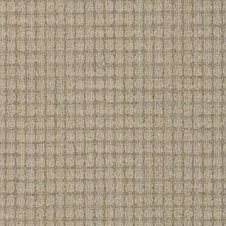 Natural Harmony Twilight Blends   Color Opal 13 ft. 2 in. Carpet 168078