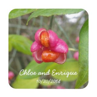 Pink Spindle Fruit Personalized Wedding Drink Coasters