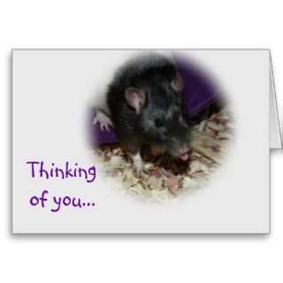Cute rat sticking out his tongue funny card