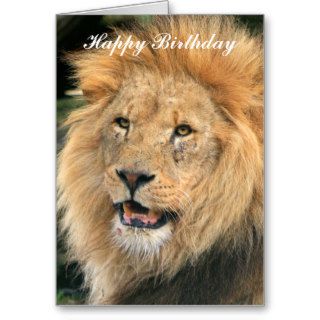 Lion head male beautiful photo happy birthday card