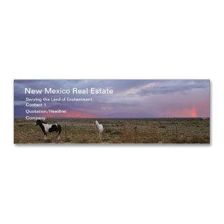 Horses After the Storm Business Card Template