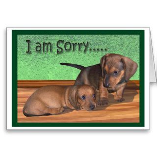 A dachshund puppy apology cards