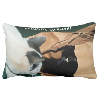 Occupied, Go Away Funny Cats Pillows
