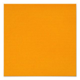 solid orange SOLID ORANGE BRIGHT SUMMER CANTELOPE Art Photo
