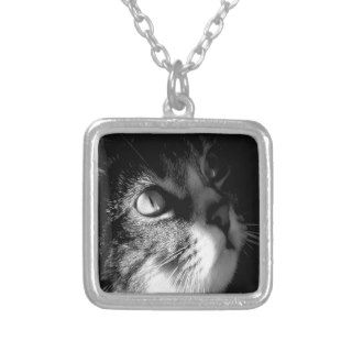 Cat Looking For Love Pendant