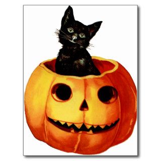 Vintage Black Cat and Pumpkin Postcard