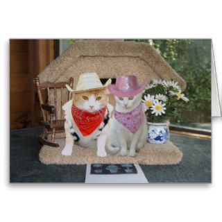 Customizable Funny Cats Anniversary Greeting Card