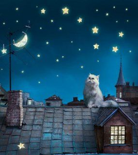 Fototapete Tapete Katze Sternenhimmel Dach bei Nacht Foto 180 x 202 cm Küche & Haushalt
