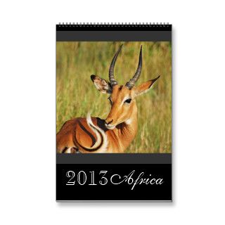 Animal wild Africa 2013 (ANY YEAR) Wall Calendar