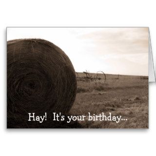 Hay  It's your birthdayCards