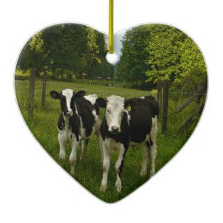 Holstein Fresian Pair of Steers Christmas Tree Ornaments