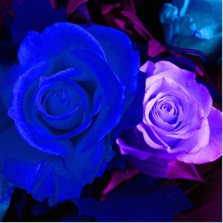 Blue Purple Rose Photo Sculpture