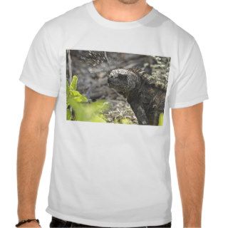 Marine Iguana snort salt 2 T Shirts