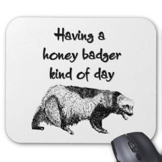 Having a honey badger kind of day mousepad