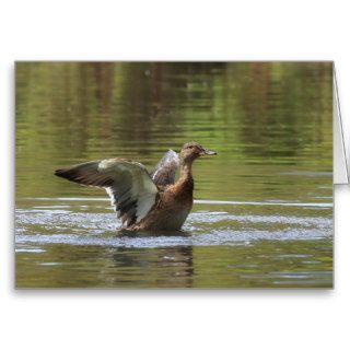 Landing Mallard Card