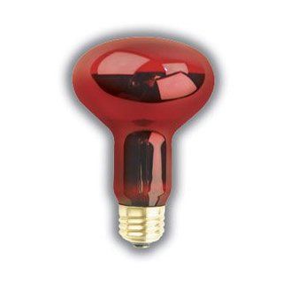 PET LIGHT BULB 100 WATTS R25 RED NIGHTLITE REPTILE LAMP SUPRA LIFE   Incandescent Bulbs  