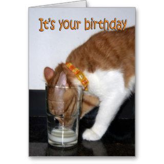 Cat Drinking Glass Happy Birthday Card