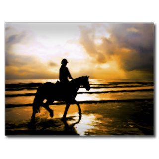 HORSE RIDER ON BEACH POSTCARDS