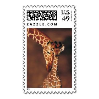 Adult Giraffe with calf (Giraffa camelopardalis) Stamps