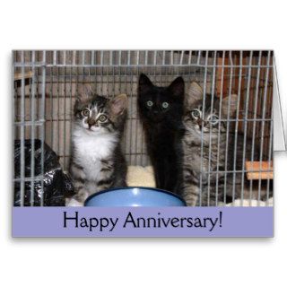 Rescued Kittens Anniversary Card