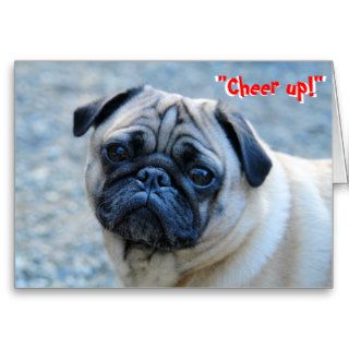 No Wrinkles Pug Birthday Card