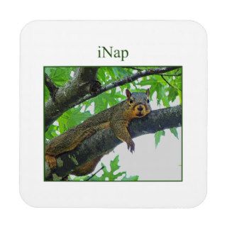 iNap Funny Squirrel Resting in a Tree Beverage Coaster