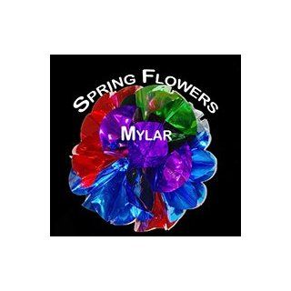 Spring Flowers Mylar Jumbo 24 Inch Toys & Games
