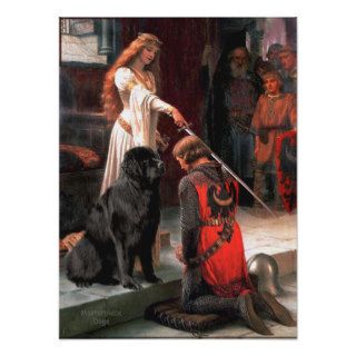 Newfie 1   The Accolade Print