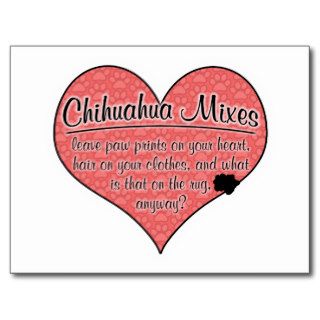 Chihuahua Mixes Paw Prints Dog Humor Post Cards