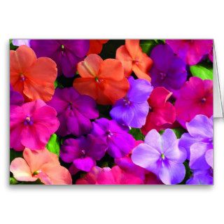 Multi Color Flowers Card   blank