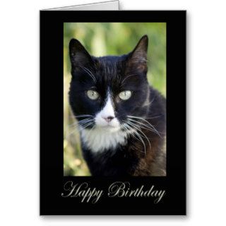 Black & White Cat, blank birthday card