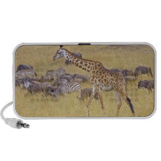 Maasai Giraffes roaming across the Maasai Mara 2 iPod Speakers