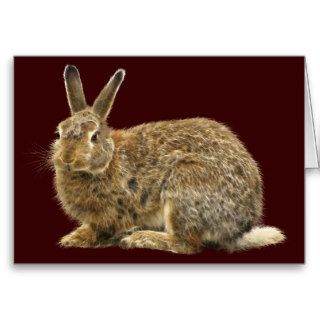 Wild Brown Rabbit Greeting Card