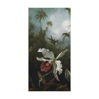 2 Hummingbirds White Orchid, Meade, Vintage Art Gallery Wrap Canvas