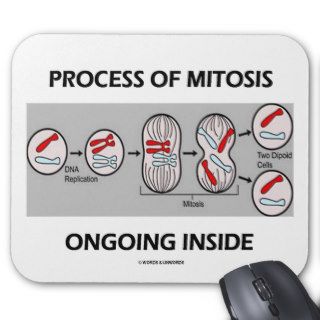 Process Of Mitosis Ongoing Inside Mousepads