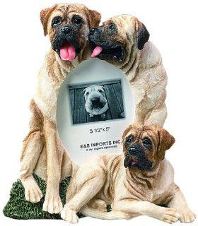 E&S Pets 35257 116 Large Dog Frames  Pet Memorial Products 