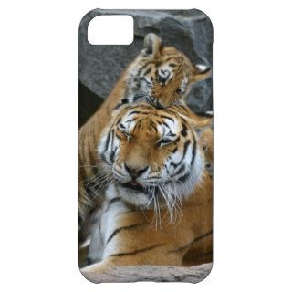 Tigress and playful tiger cub 1 iPhone 5C case