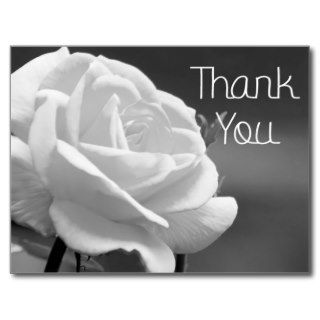 Thank You Black and White Rose Floral Post Card