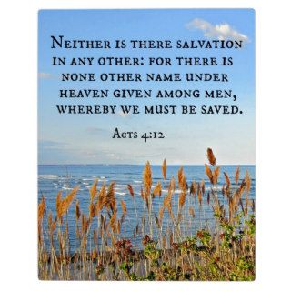 Acts 412 Neither is there salvation in any other. Display Plaque