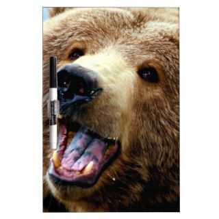 Bear Grizzly Attack Dry Erase Whiteboards