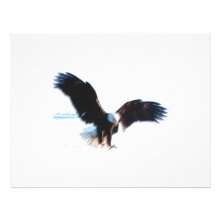 Bald American Eagle Landing Full Color Flyer