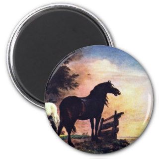 Two Horses Near A Gate In The Meadow [1]. Refrigerator Magnet