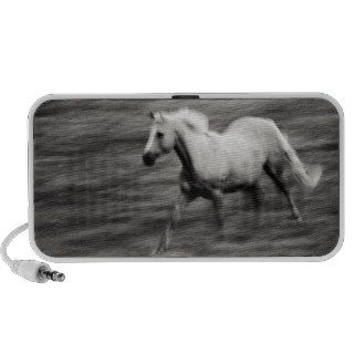 Galloping Horse iPod Speakers